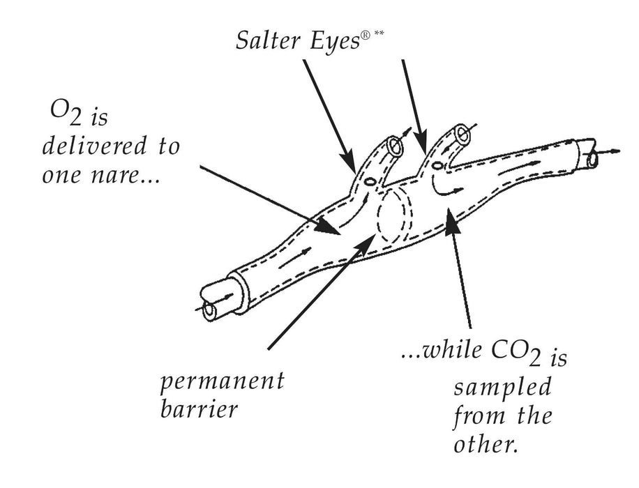 ETCO2 Nasal Sampling Cannula with O2 Delivery With Oxygen Delivery Salter-Style (NEW)